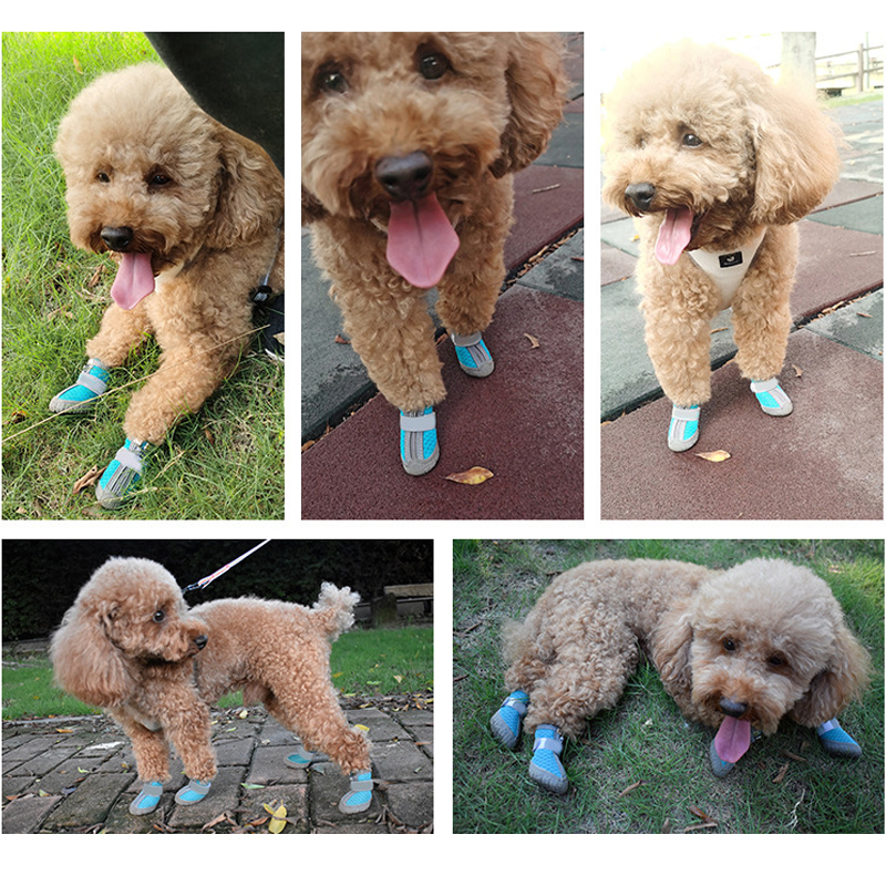 Dog Shoes for Hot Pavement – Protective Breathable Dog Booties