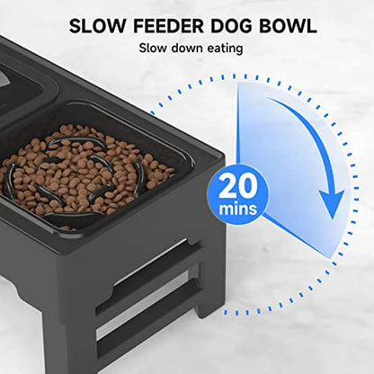 Elevated Mess-Free Dog Bowl – Stable Raised Feeding Bowl for Cleaner Mealtimes